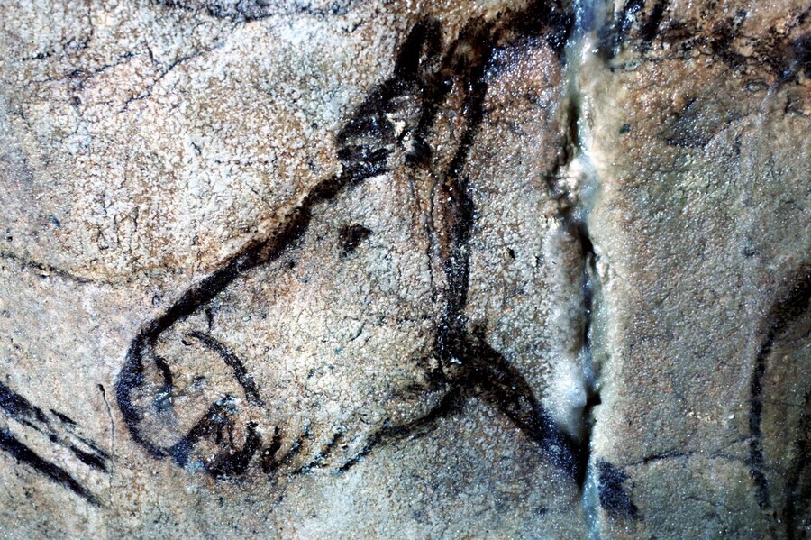 Pferdedarstellung Höhle Niaux, Foto: Sammlung Wendel, Neanderthal Museum