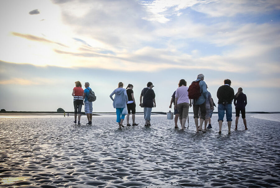 Wattwanderung im Weltnaturerbe Wattenmeer