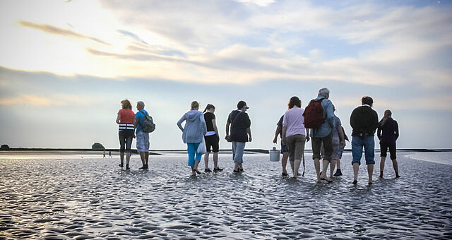 Wattwanderung im Weltnaturerbe Wattenmeer