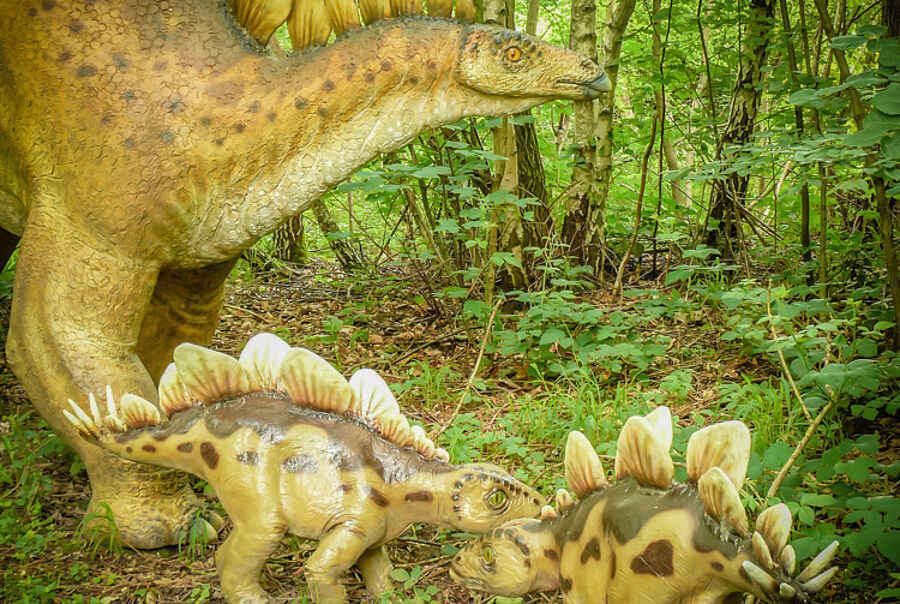 Stegosaurus