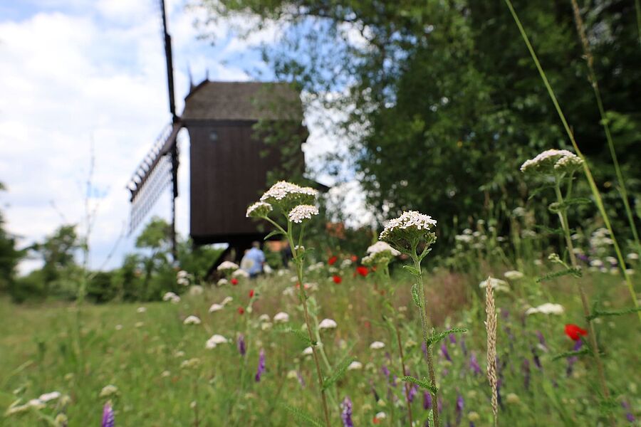 Kästorfer Bockwindmühle