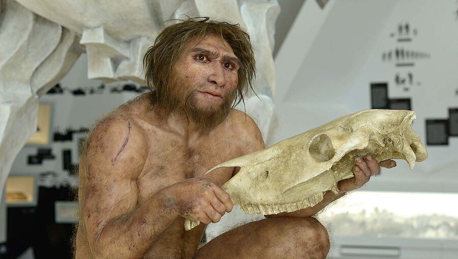 Die lebensecht wirkende Rekonstruktion des Homo heidelbergensis von Schöningen namens "Hamlet"