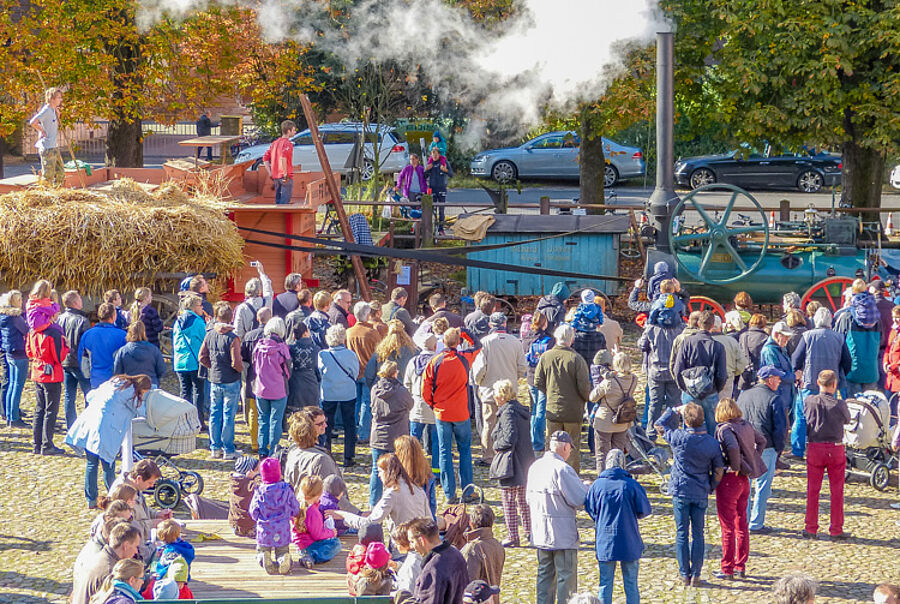 Dreschvorführung Erntedankfes im Landtechnik-Museum Gut Steinhof