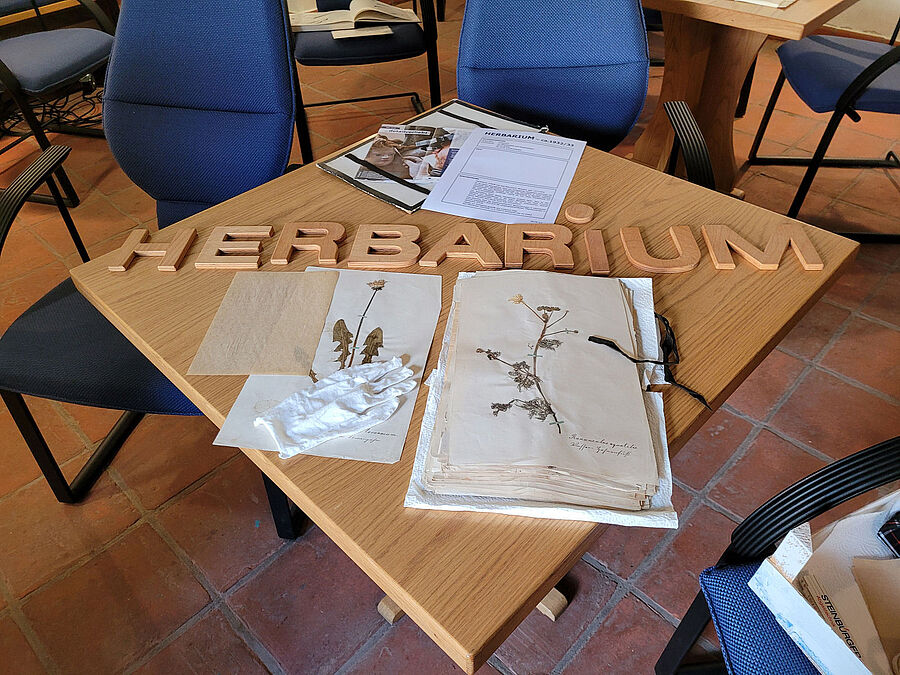 Herbarium im Heimatmuseum Bissendorf