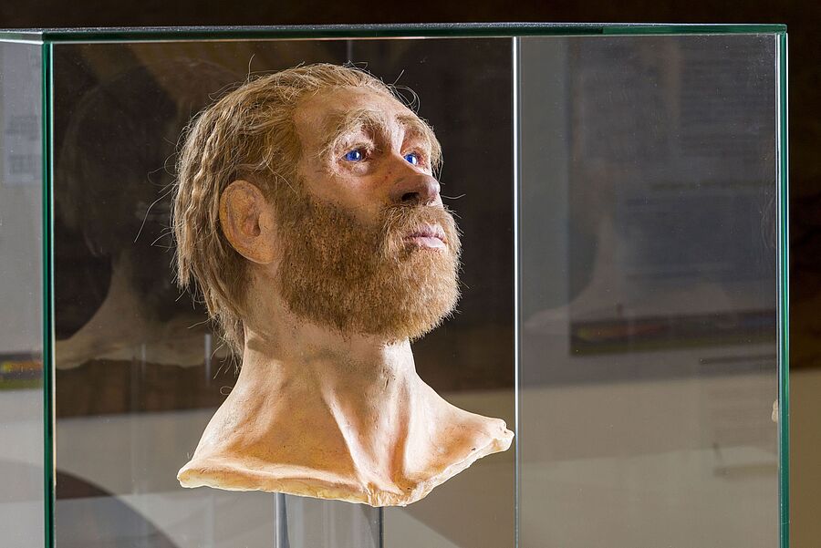 Gesichtsrekonstruktion der Moorleiche "Roter Franz" im Emsland Archäologie Museum