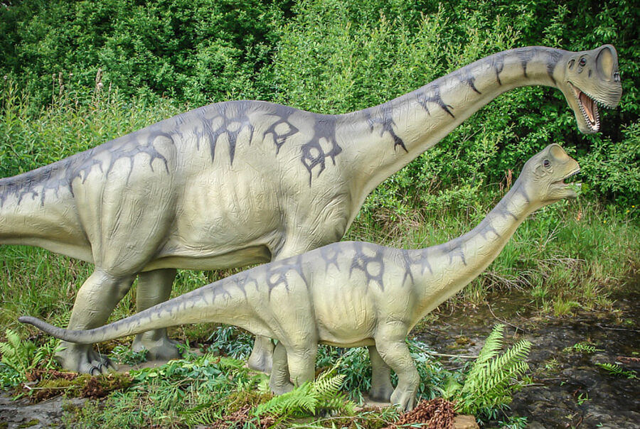 Europasaurus holgeri