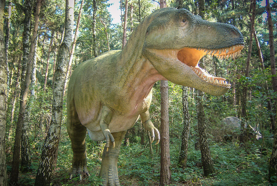 Tyrannosaurus Rex