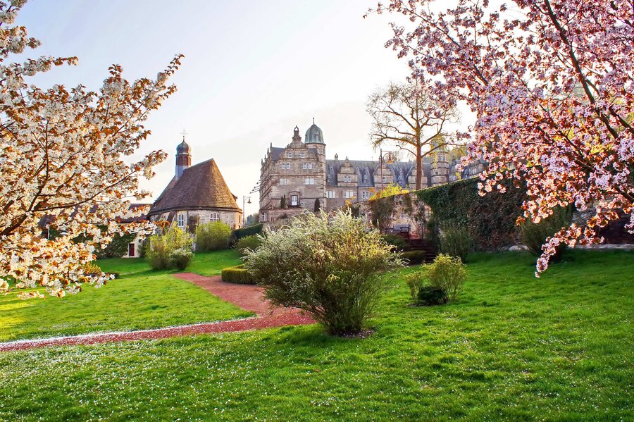 Kirschblüte am Schloss Hämelschenburg