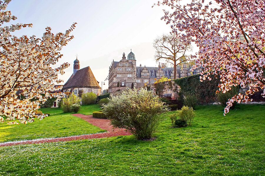 Kirschblüte am Schloss Hämelschenburg