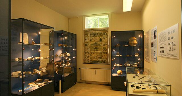 Vitrinen mit den frühgeschichtlichen Exponaten im Museum zur Stadtgeschichte in Neustadt