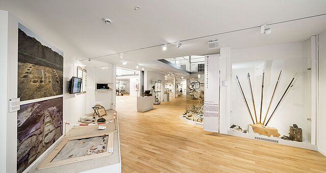 Die neu gestaltete Ausstellungshalle des Emsland Archäologie Museums