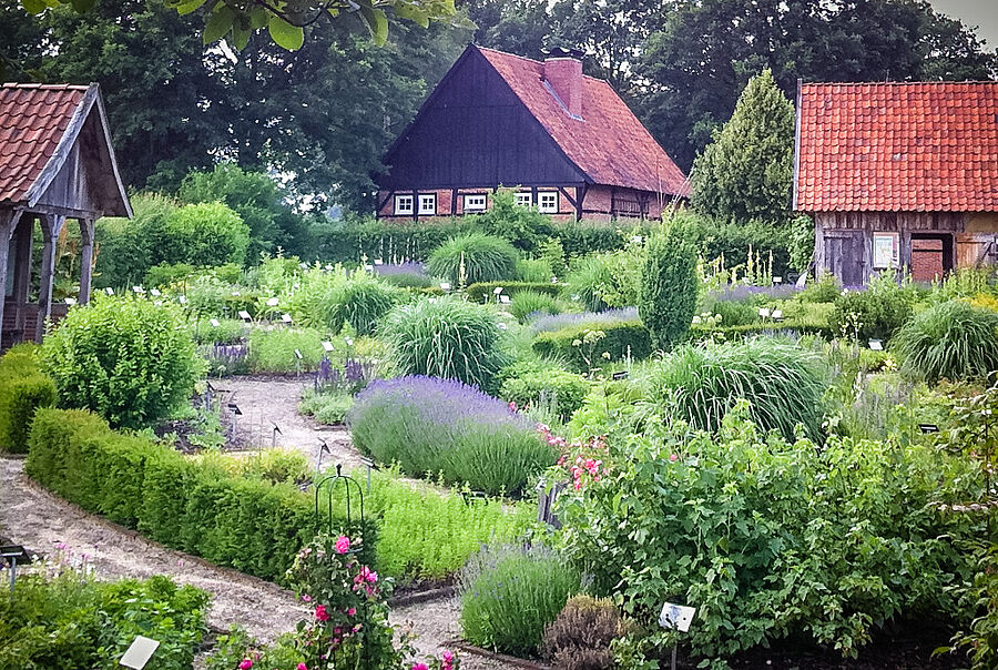 Der Heilkräutergarten am Heimathof Emsbüren mit ca. 200 Heilpflanzen