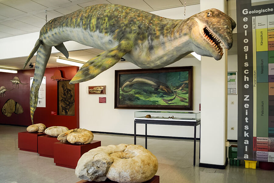Blick in die Dauerausstellung mit einem Mosasaurier-Modell