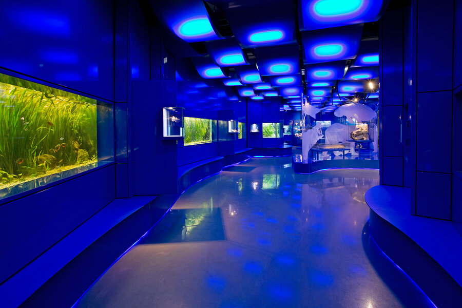 WasserWelten im Landesmuseum Hannover