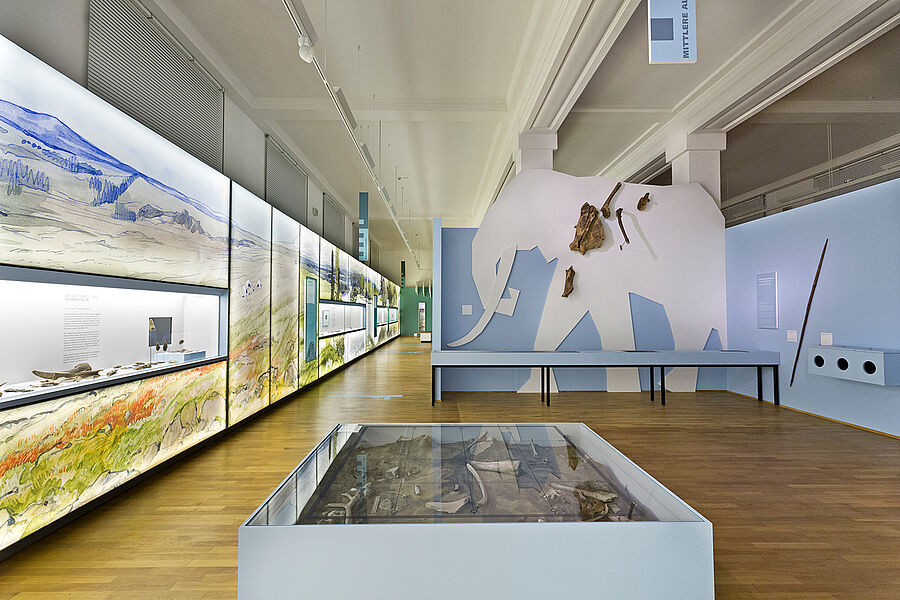 Raumansicht Archäologie im Landesmuseum Hannover