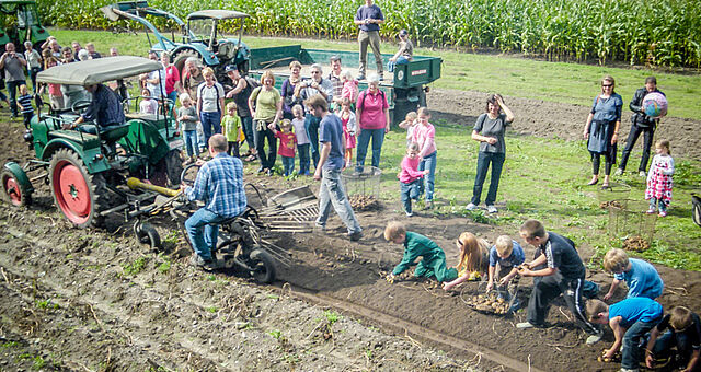 Kartoffelernte - Mitmachaktion für Besucher im Landtechnik-Museum 