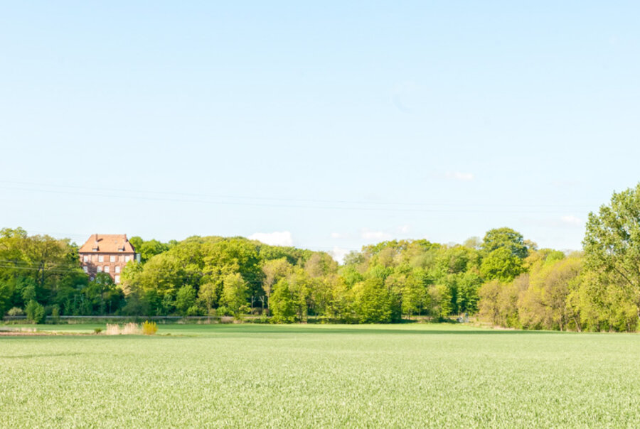 Elbseite von Schloss Agathenburg