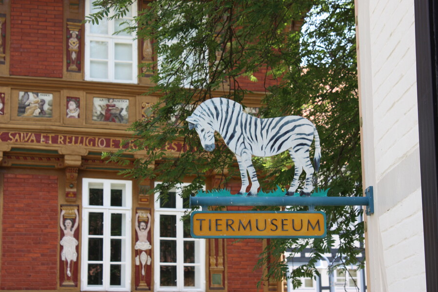 Außenansicht des Tiermuseums Alfeld, (c) Stadtarchiv Alfeld