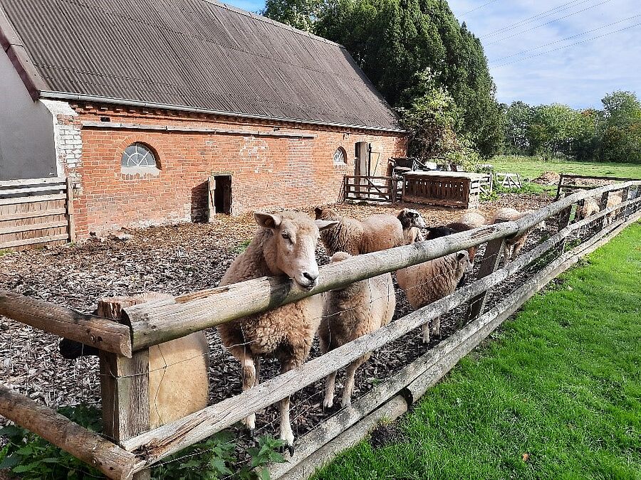 Der Schweinestall des Museums Moorseer Mühle