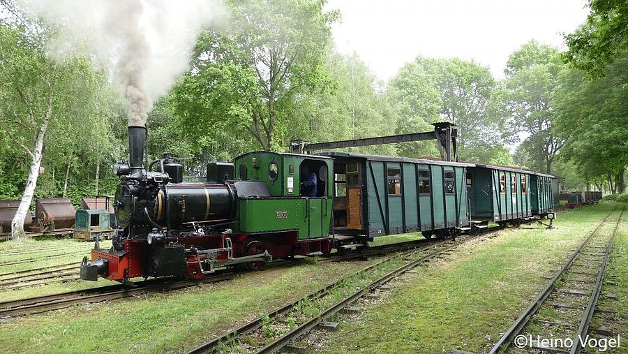 Deutsches Feld- und Kleinbahnmuseum - Dampflok