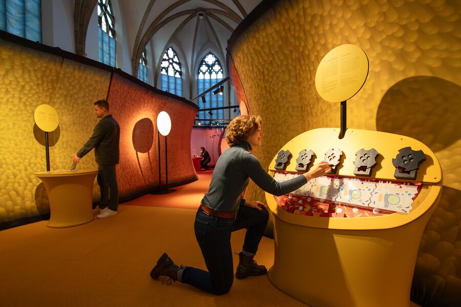 Blick in die Ausstellung Essen und Trinken Körperreisereise I, (c) Braunschweigisches Landesmuseum Anja Pröhle