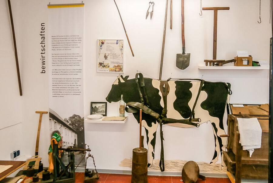 Ausstellungsbereich "bewirtschaften: Kühe dienen auch als Zugtiere"