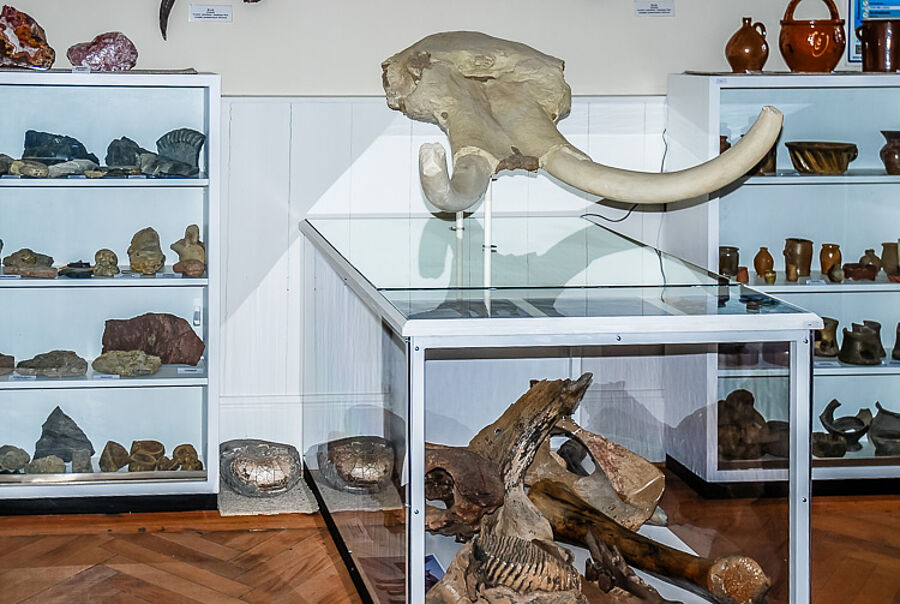 Heimatmuseum Flecken Bevern, paläontologische Funde, Mamut