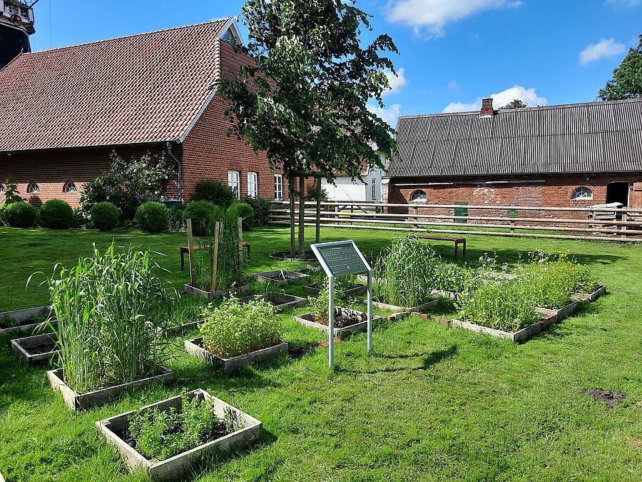 Die Schaubeete des Museums Moorseer Mühle