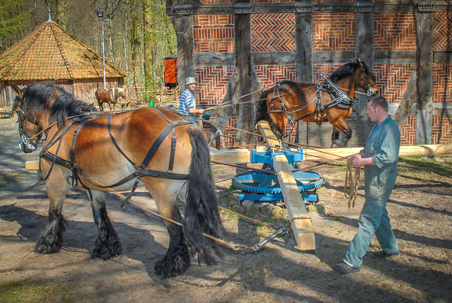 Blick in die Ausstellung - Kreismuseum Syke