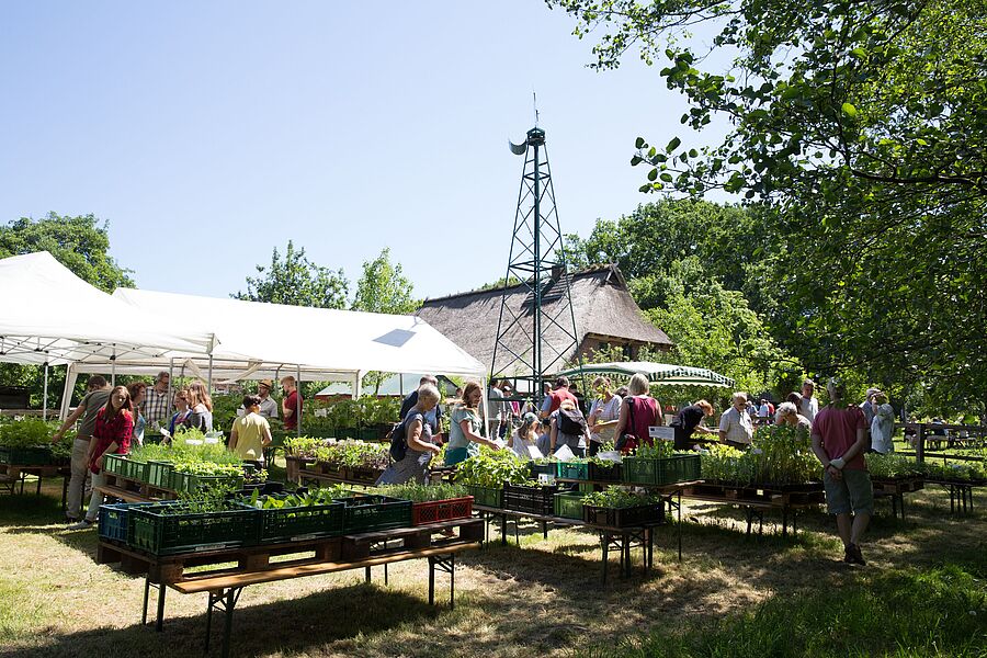 Der Museumsbauernhof Wennerstorf