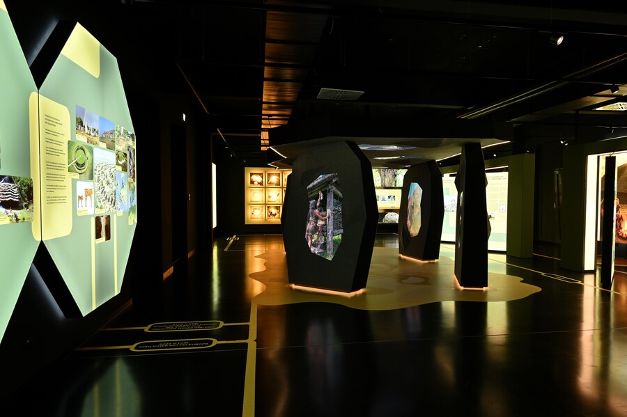 Die Dauerausstellung öffnet das Verständnis für die Welt der Großsteingräber vor 5000 Jahren. Foto: Andreas Jaeck, UZW