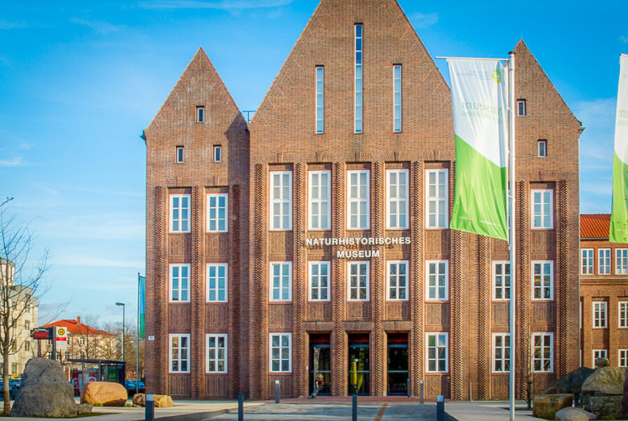 Außenansicht des Staatlichen Naturhistorischen Museums