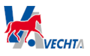 Stadt Vechta